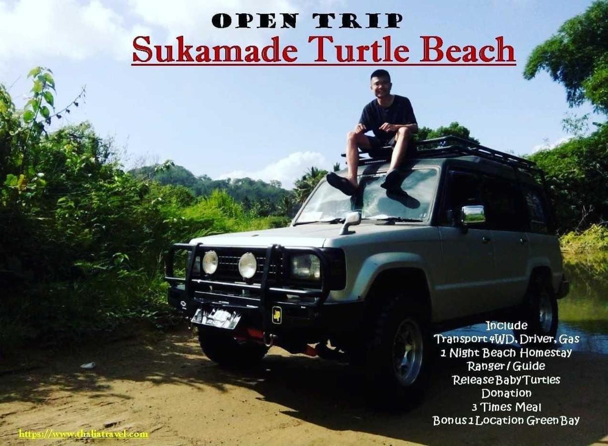 Thalia Homestay & Ijen Bromo Tour Banyuwangi (East Java) Exterior foto
