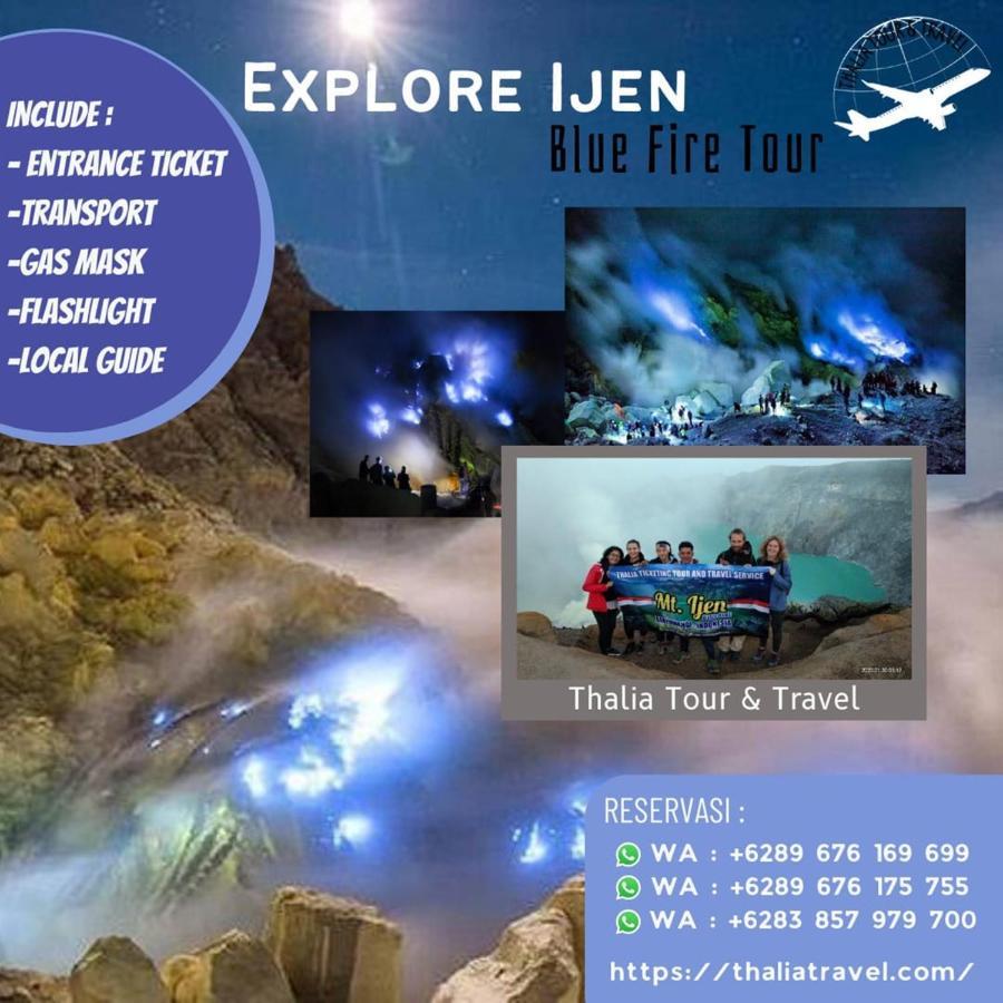 Thalia Homestay & Ijen Bromo Tour Banyuwangi (East Java) Exterior foto