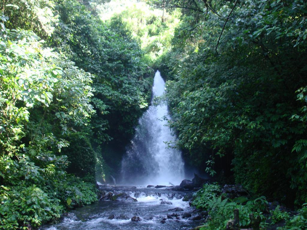 Thalia Homestay & Ijen Bromo Tour Banyuwangi (East Java) Exterior foto