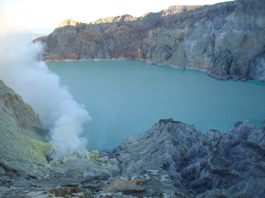 Thalia Homestay & Ijen Bromo Tour Banyuwangi (East Java) Exterior foto