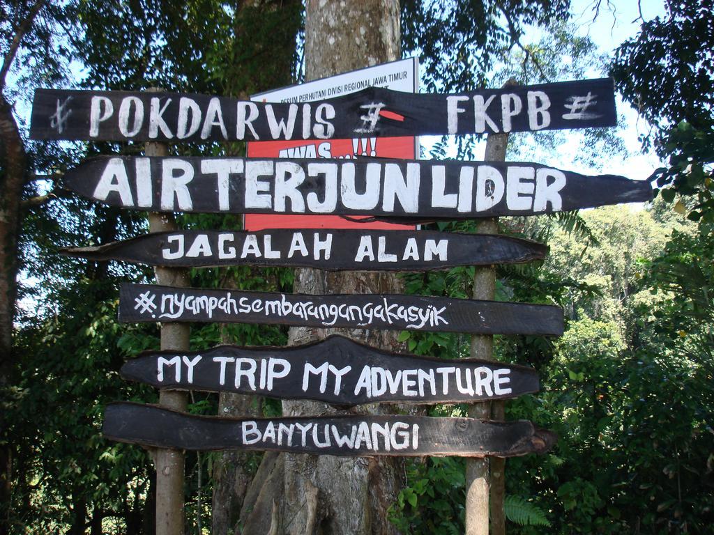 Thalia Homestay & Ijen Bromo Tour Banyuwangi (East Java) Exterior foto