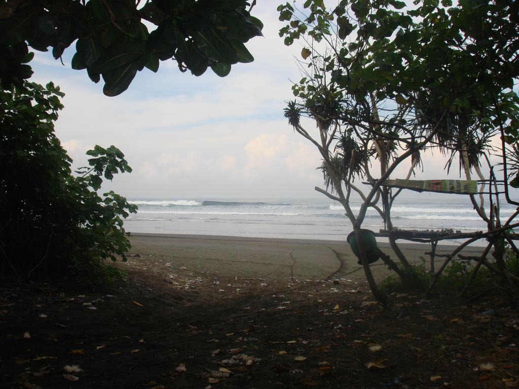 Thalia Homestay & Ijen Bromo Tour Banyuwangi (East Java) Exterior foto