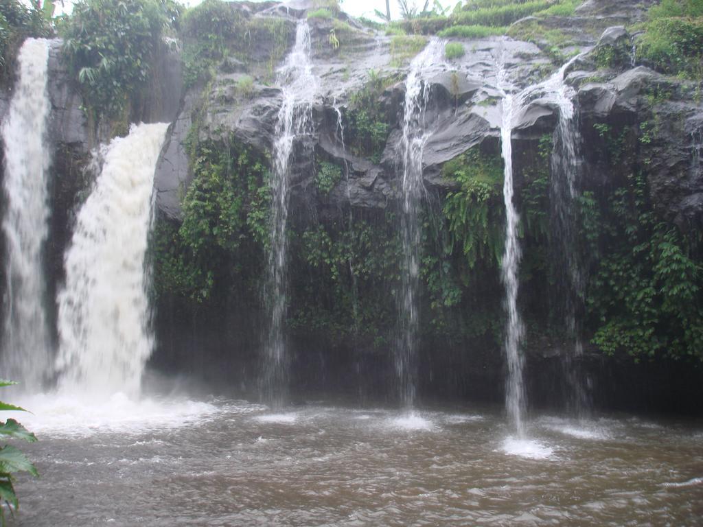Thalia Homestay & Ijen Bromo Tour Banyuwangi (East Java) Exterior foto
