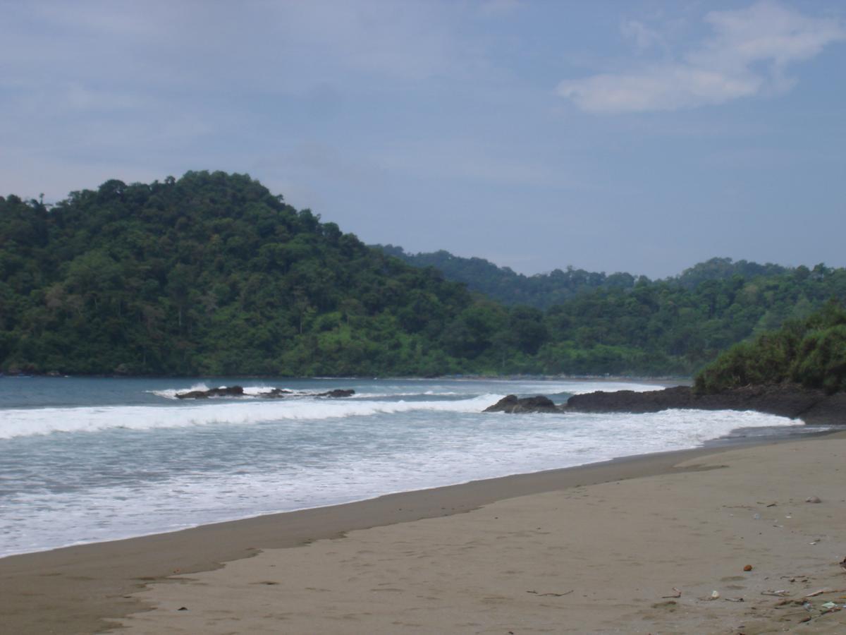 Thalia Homestay & Ijen Bromo Tour Banyuwangi (East Java) Exterior foto