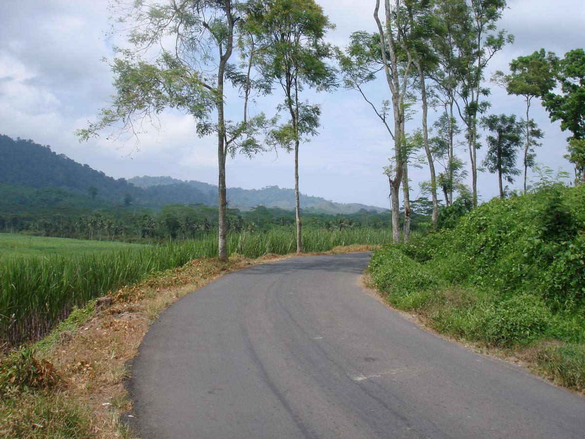 Thalia Homestay & Ijen Bromo Tour Banyuwangi (East Java) Exterior foto