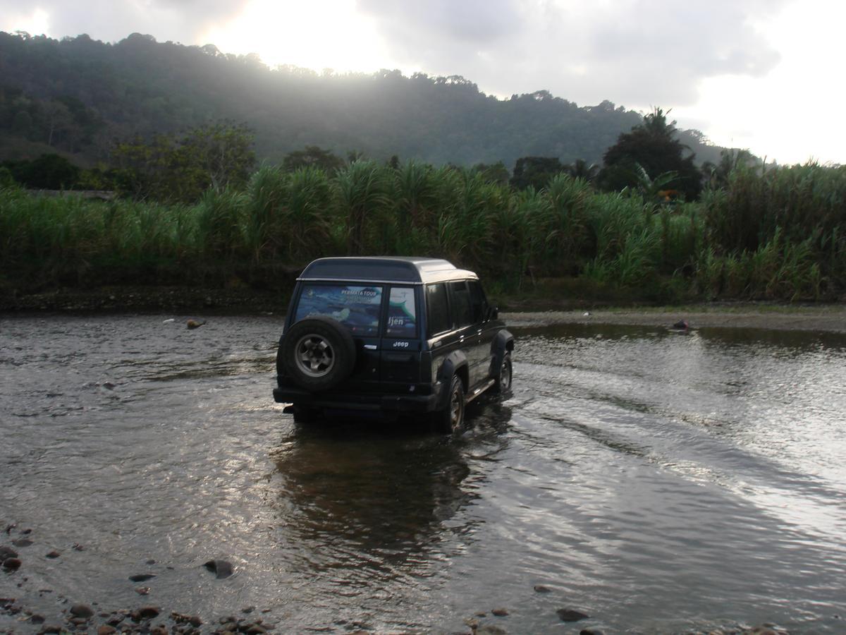 Thalia Homestay & Ijen Bromo Tour Banyuwangi (East Java) Exterior foto