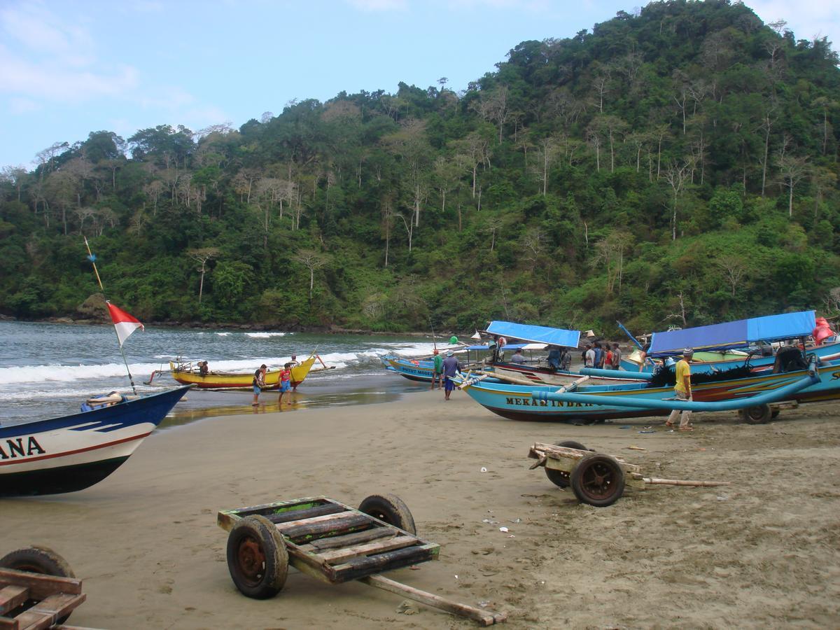 Thalia Homestay & Ijen Bromo Tour Banyuwangi (East Java) Exterior foto