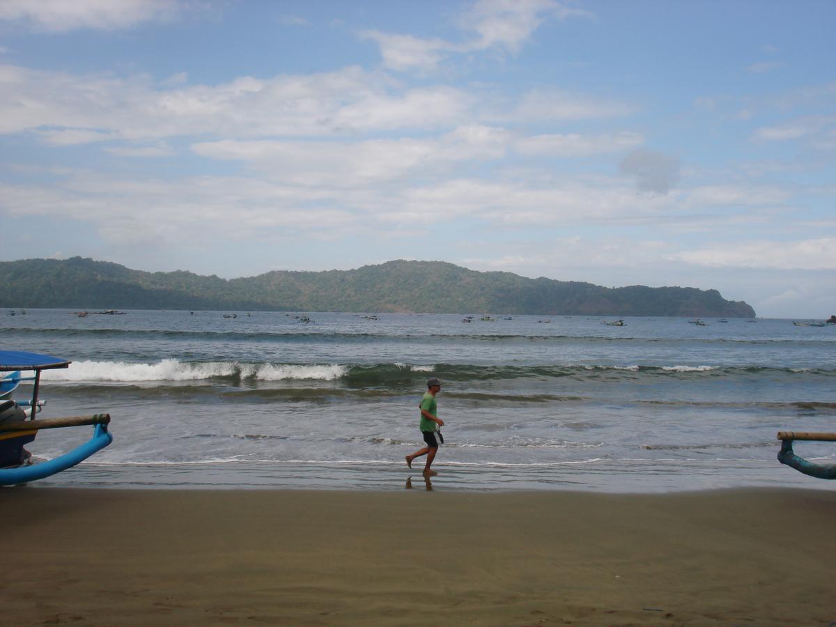 Thalia Homestay & Ijen Bromo Tour Banyuwangi (East Java) Exterior foto