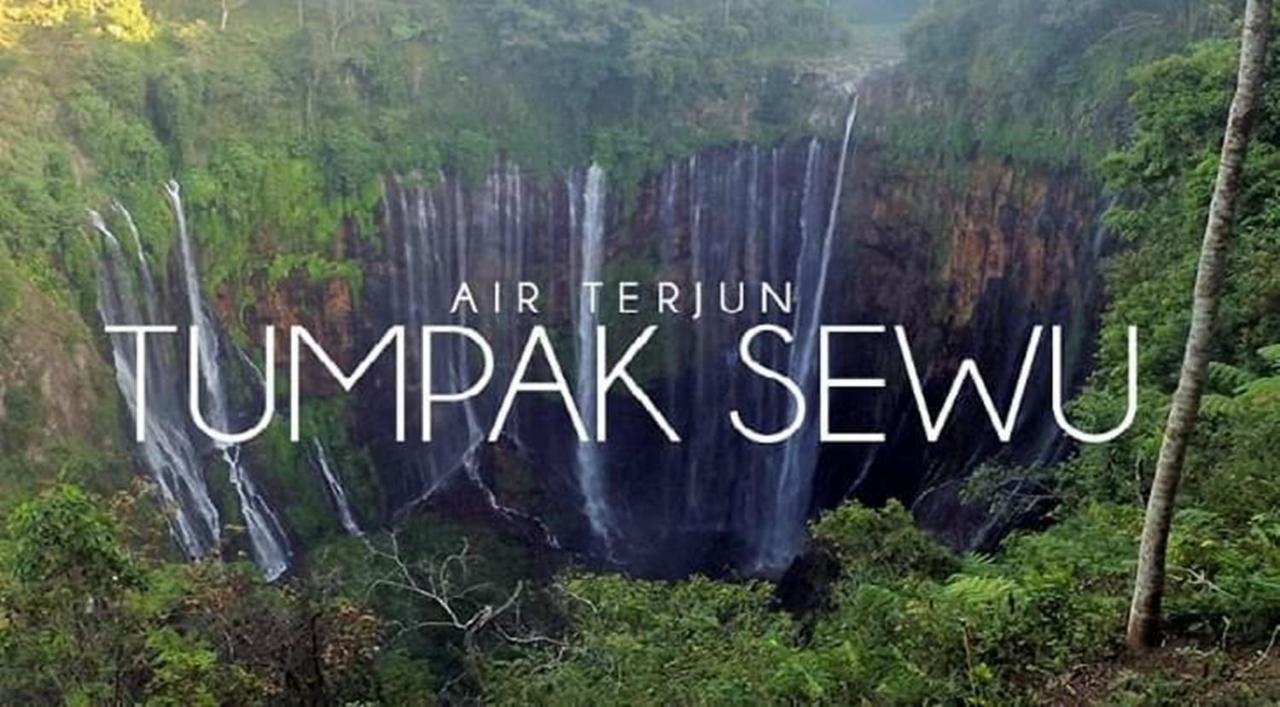 Thalia Homestay & Ijen Bromo Tour Banyuwangi (East Java) Exterior foto